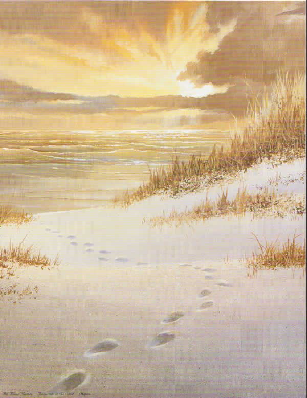 footsteps in the sand poem. The footprints which you leave